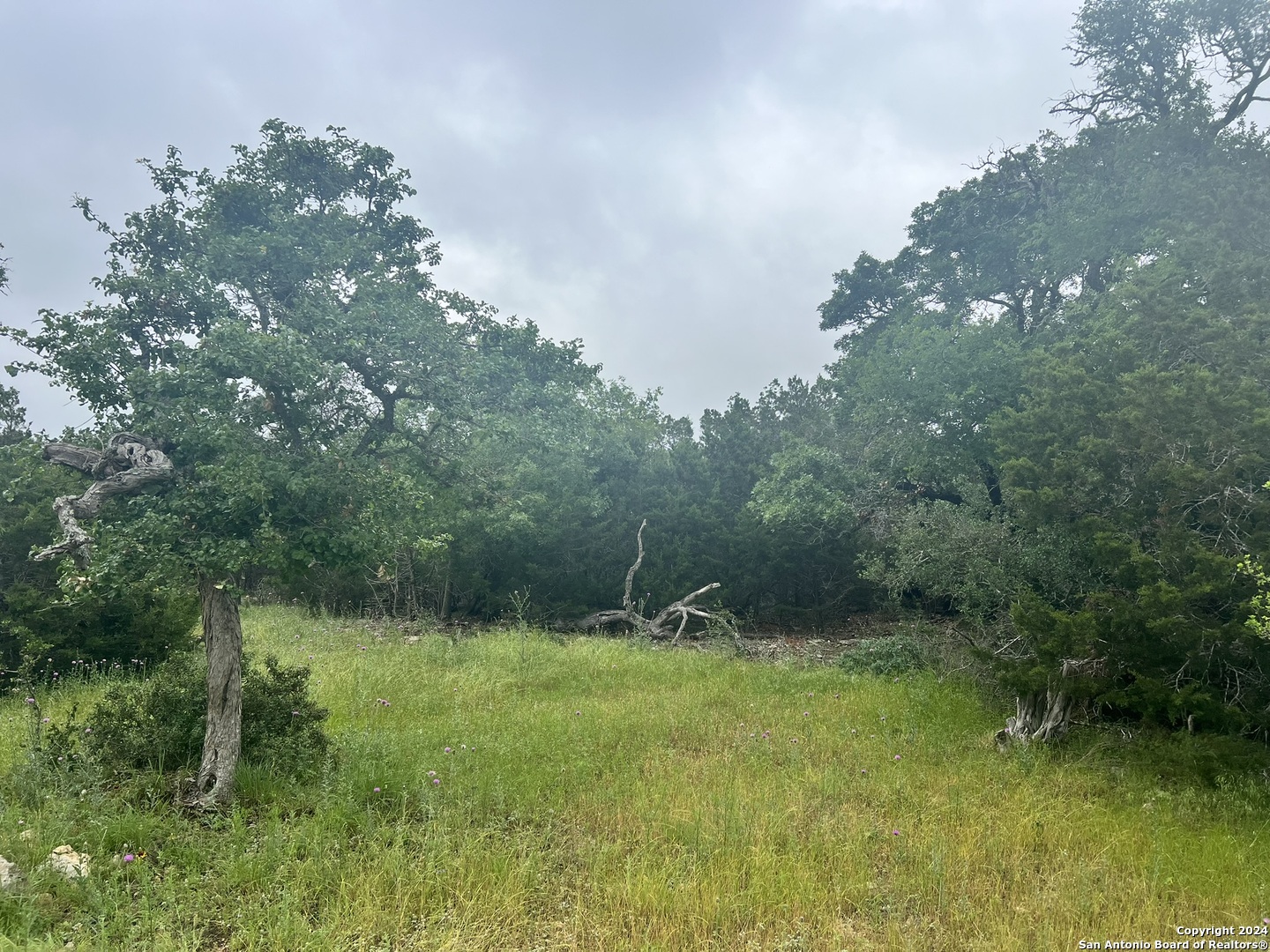 512 Lasso, Canyon Lake, TX 78133 — photo 1