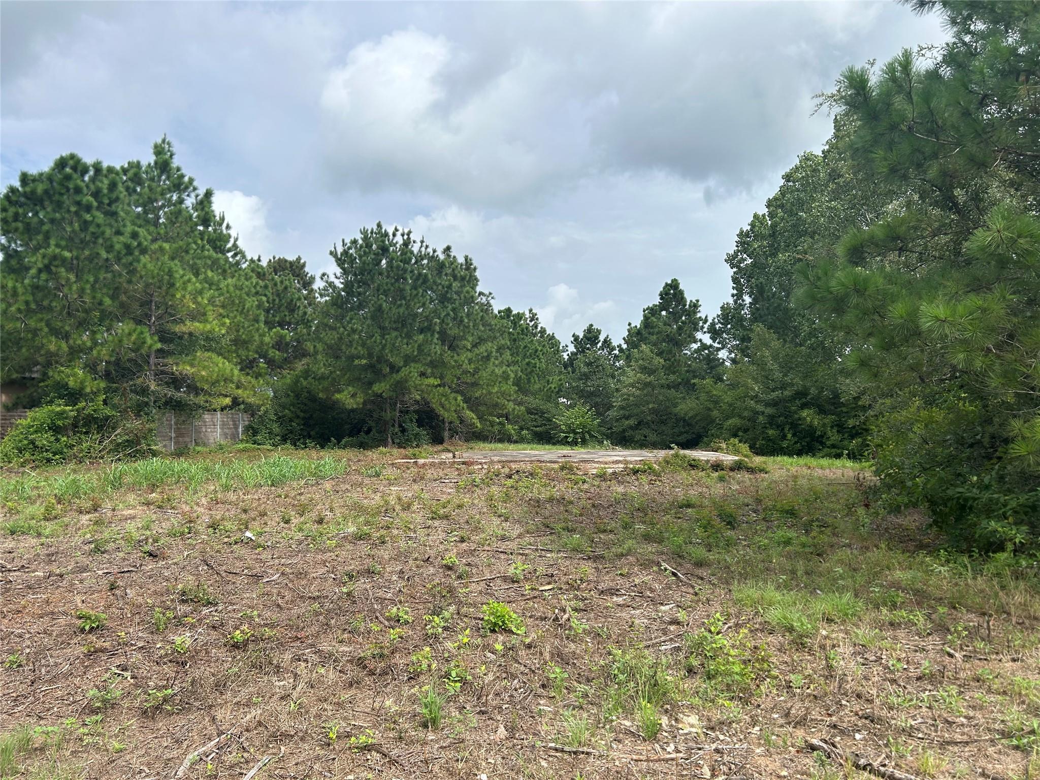 158  Cardinal Loop, Paige, TX 78659 — photo 1