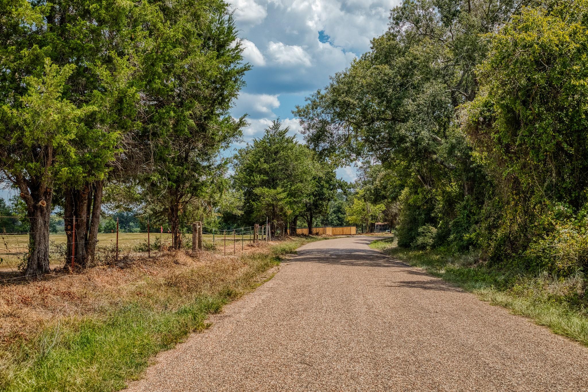 8671  County Road 324 None, Caldwell, TX 77836 — photo 1