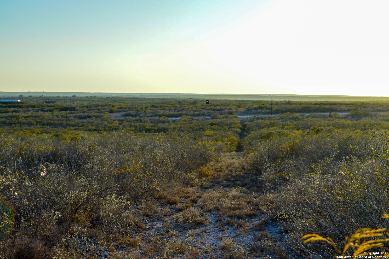 TBD Live Oak Spur, George West, TX 78022 — photo 1