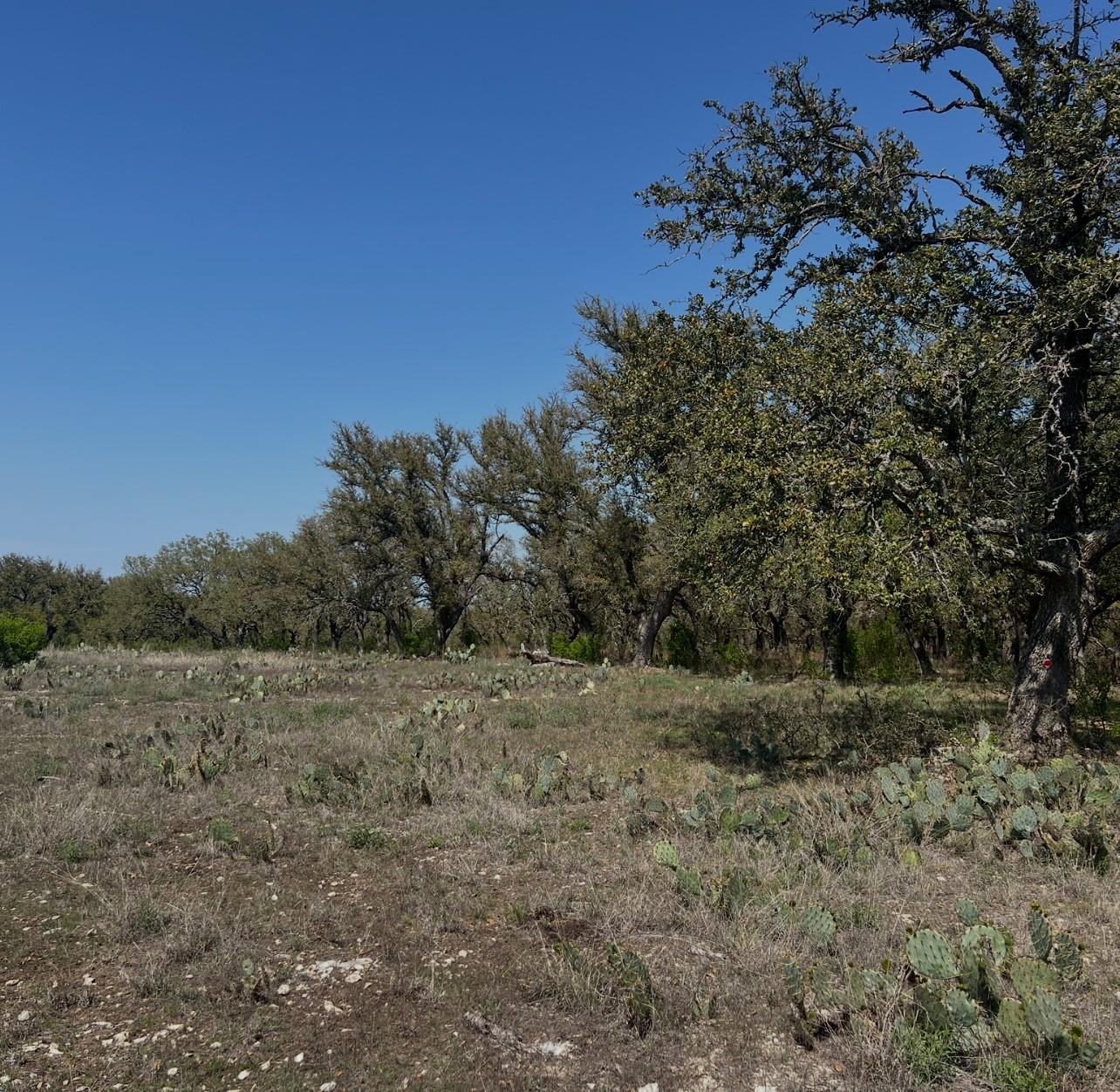 Lot 42 Waterbuck Way, Lampasas, TX 76550 — photo 1