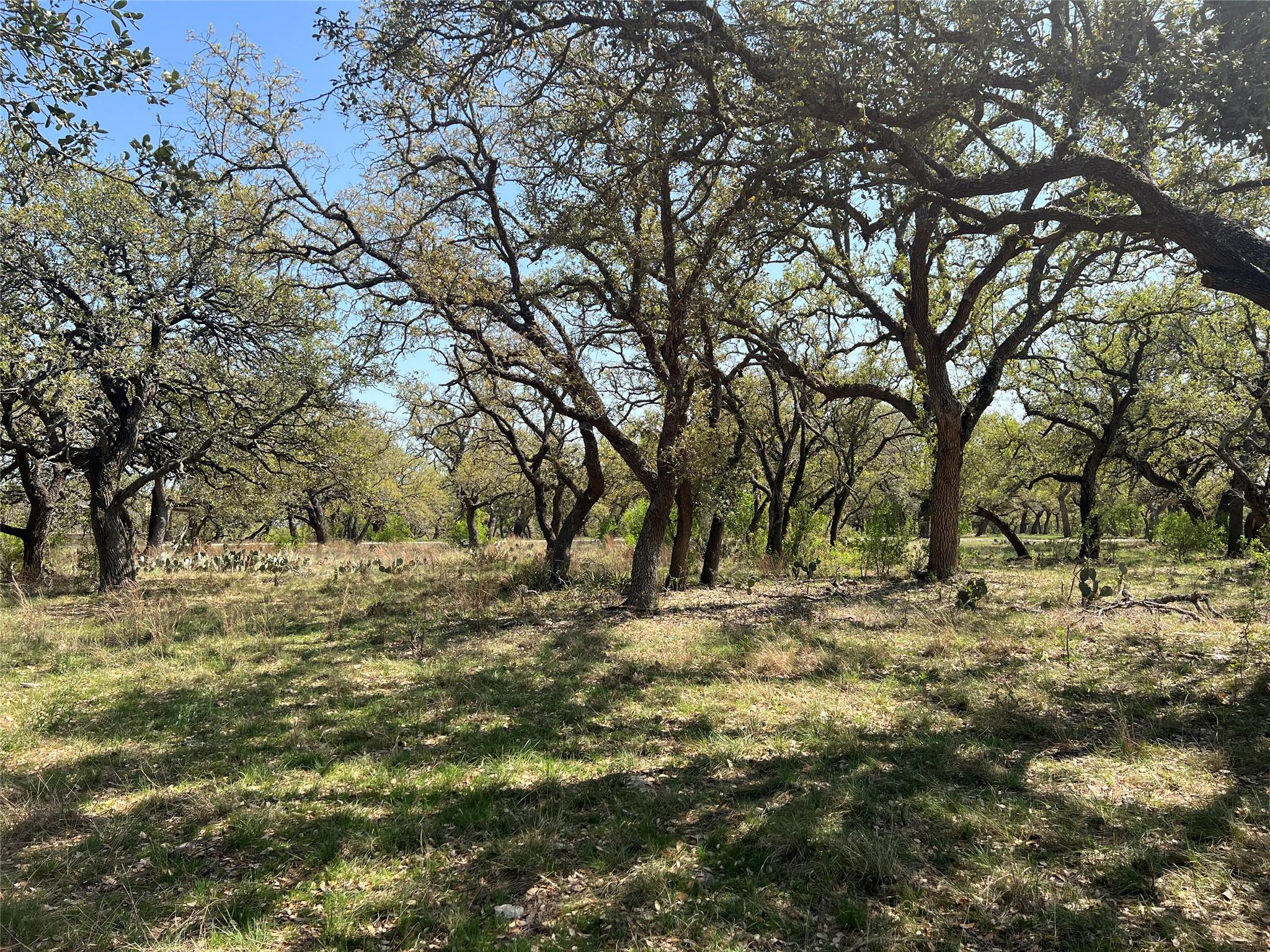 Lot 43  Waterbuck Way, Lampasas, TX 76550 — photo 1
