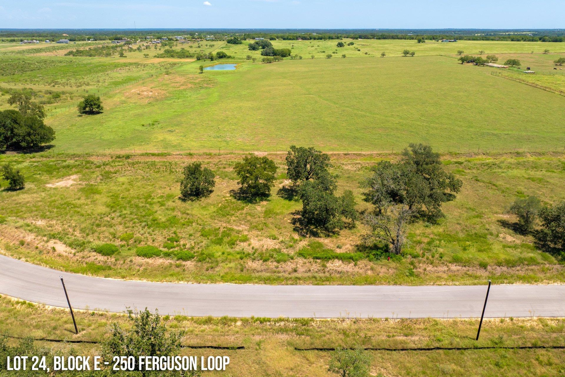 250  Ferguson Loop, Dale, TX 78616 — photo 1