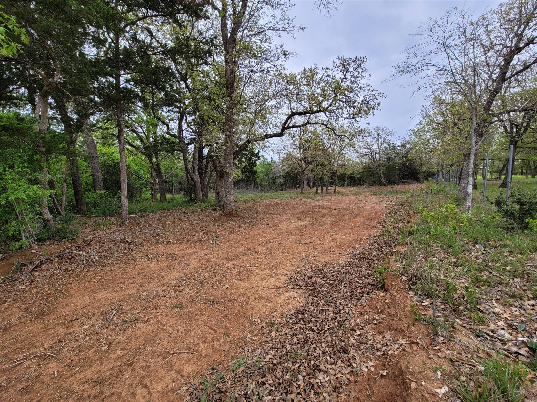 160 Arbor Hill Way, Cedar Creek, TX 78612 — photo 1