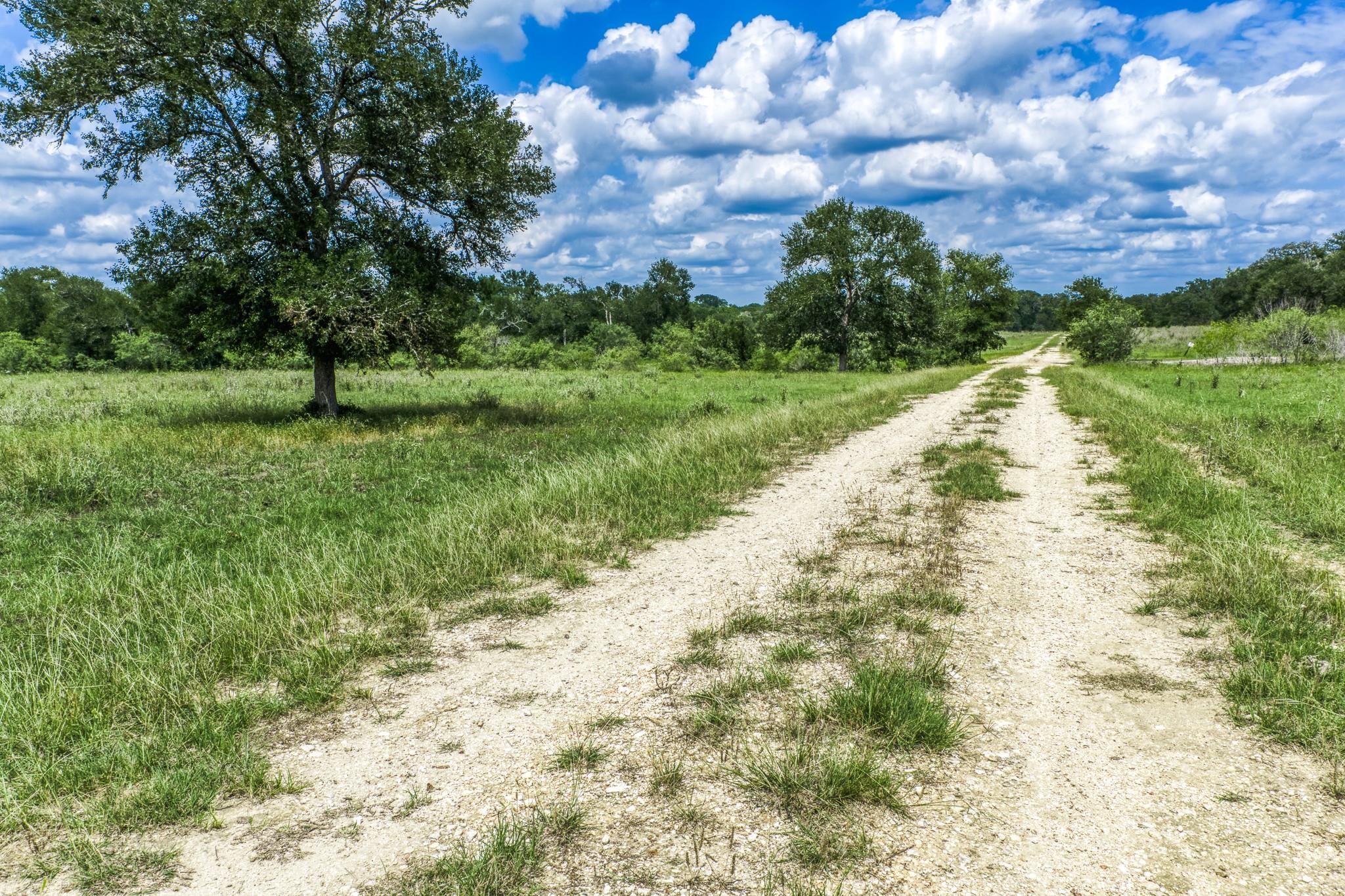 TBD(+/- 237.91 AC) HWY 36 S None, Caldwell, TX 77836 — photo 1
