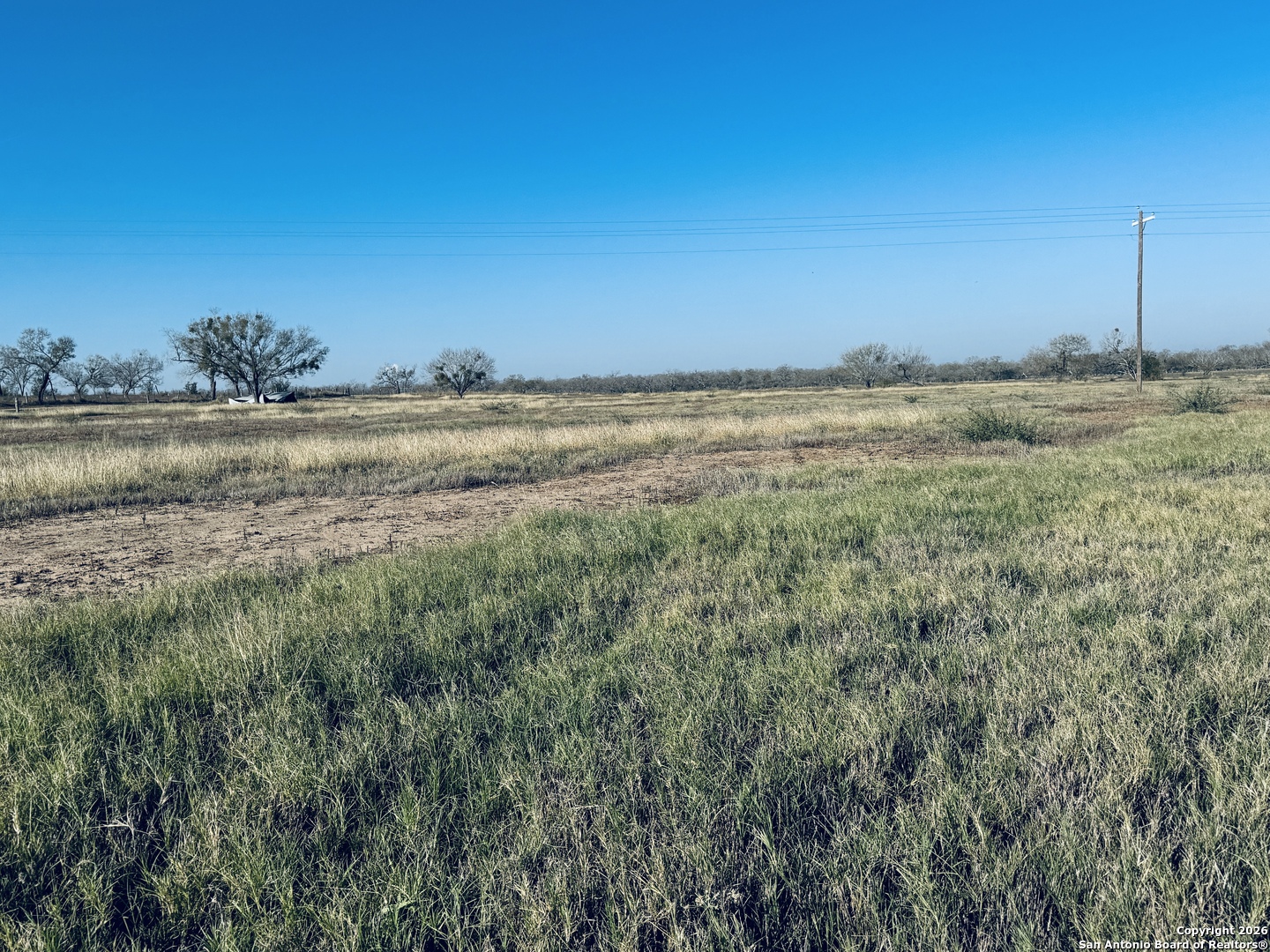TBD Byrd Rd, Pleasanton, TX 78064 — photo 1