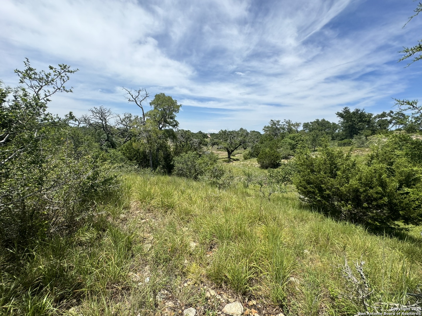 134 W Eli Chandler, Blanco, TX 78606 — photo 1