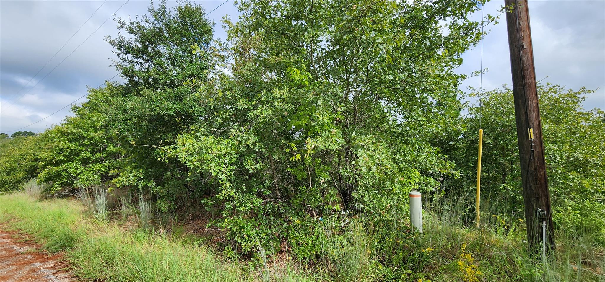 TBD  Homonu (Lot 105) Ct, Bastrop, TX 78602 — photo 1