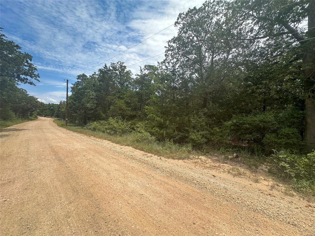 246 Arrowhead Dr, Smithville, TX 78957 — photo 1