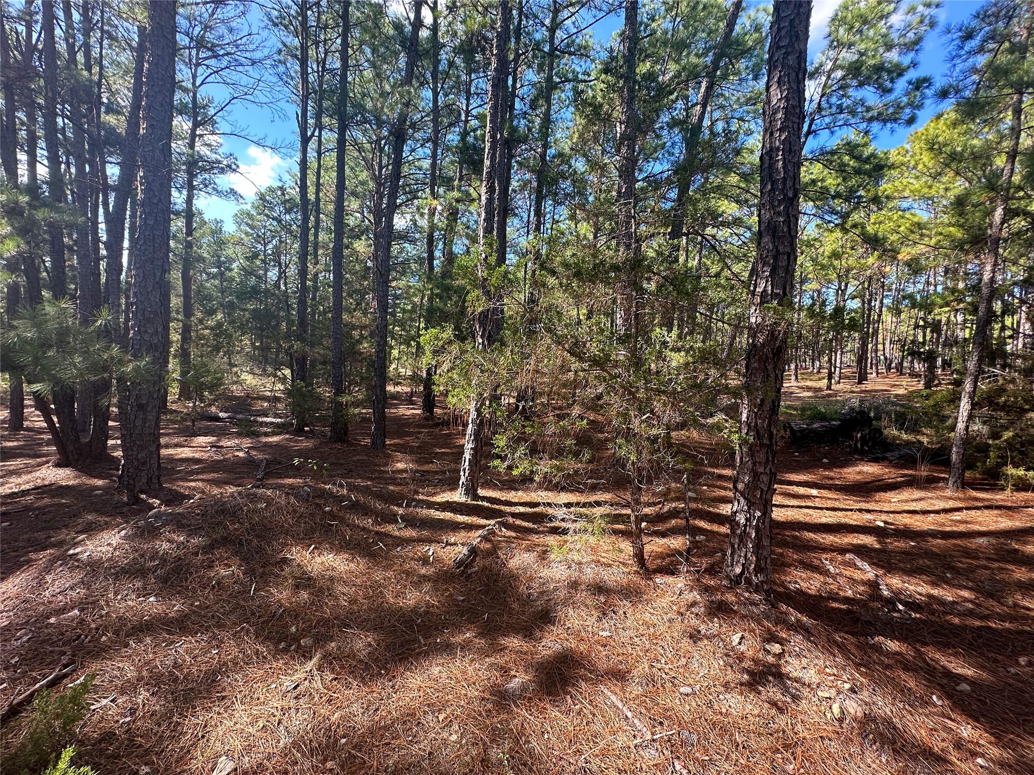 Lot 11  Hickory Ridge Dr, Bastrop, TX 78602 — photo 1