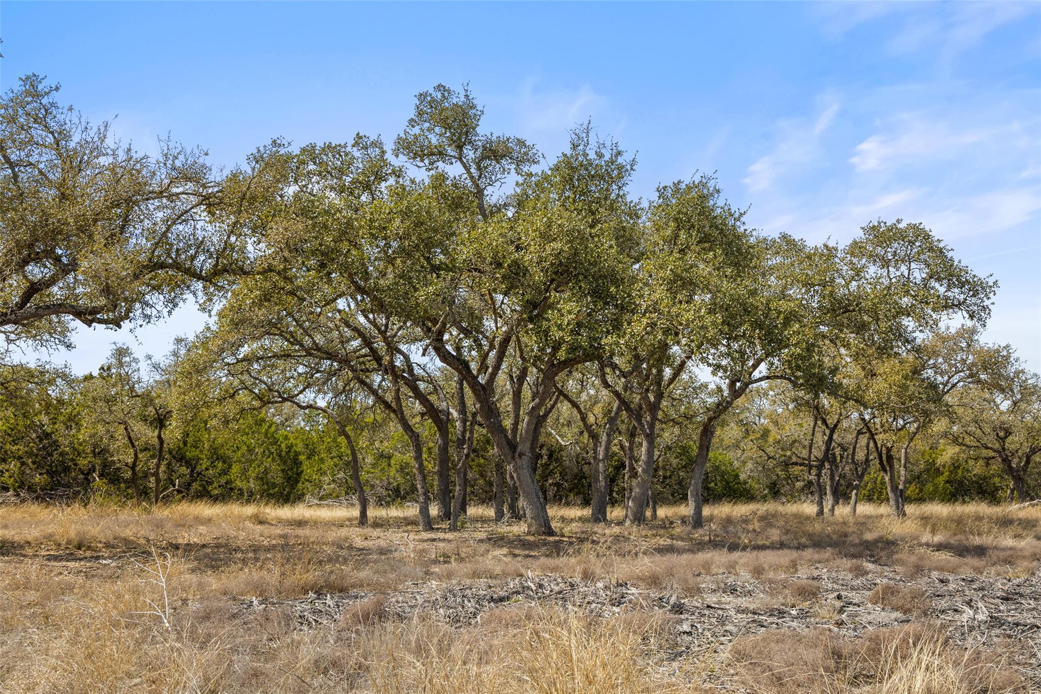 535  Becker Road None, Johnson City, TX 78636 — photo 1