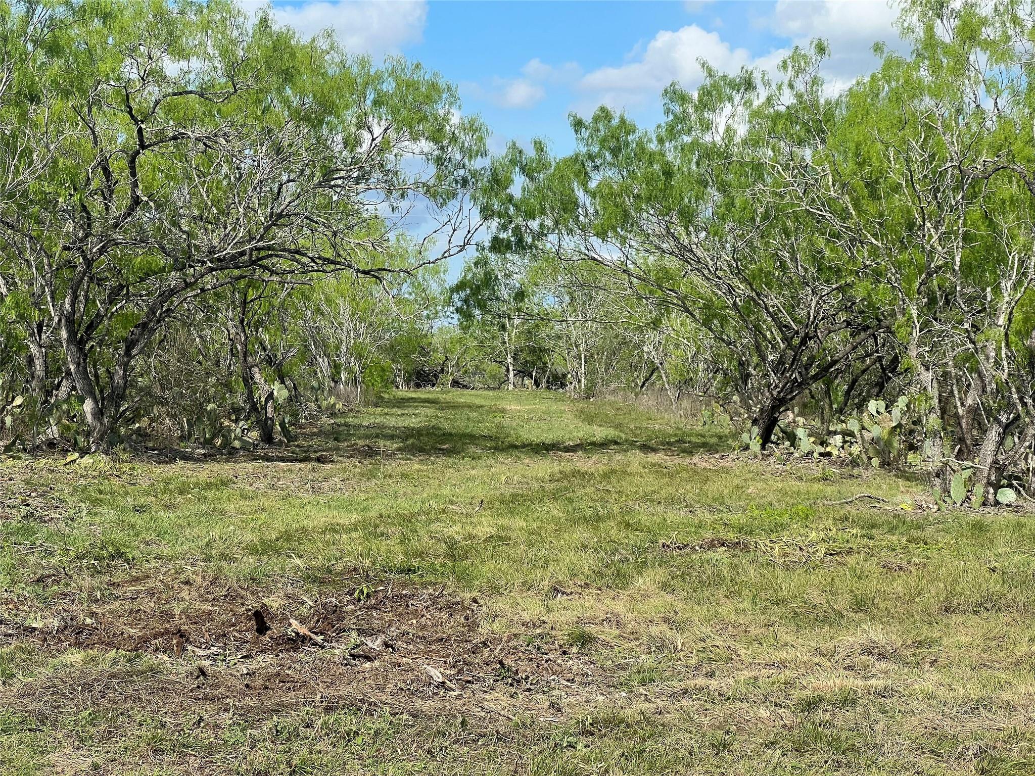 0  Cr 180 None, Smiley, TX 78159 — photo 1