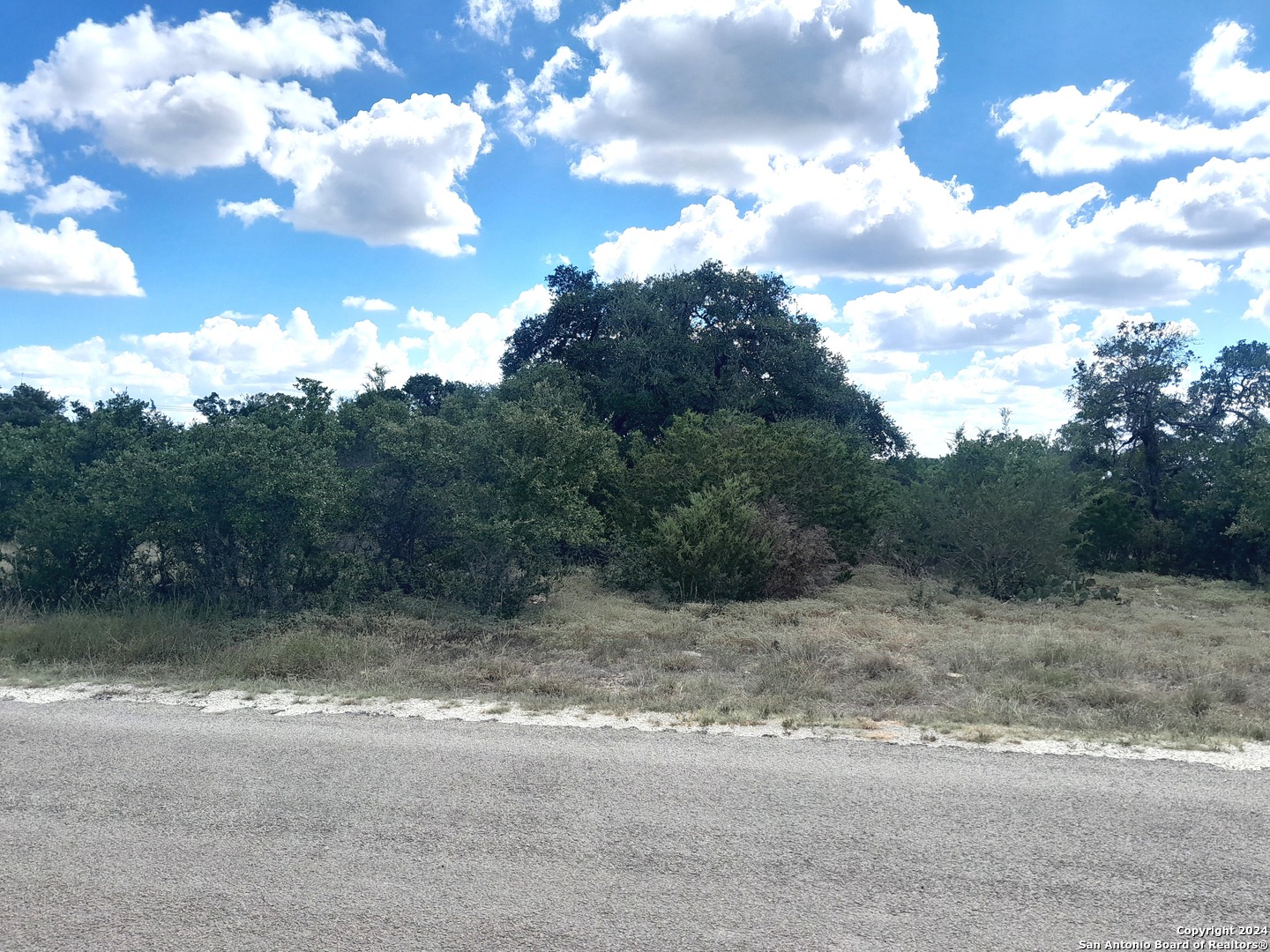 612 calvin barrett, Blanco, TX 78606 — photo 1