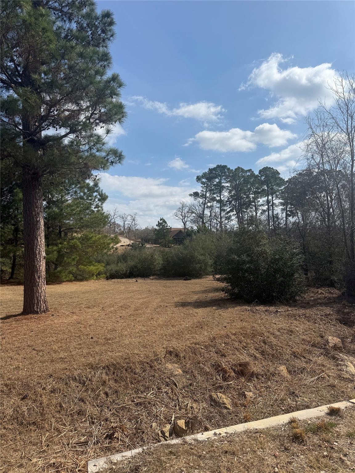 123  Koali Dr, Bastrop, TX 78602 — photo 1