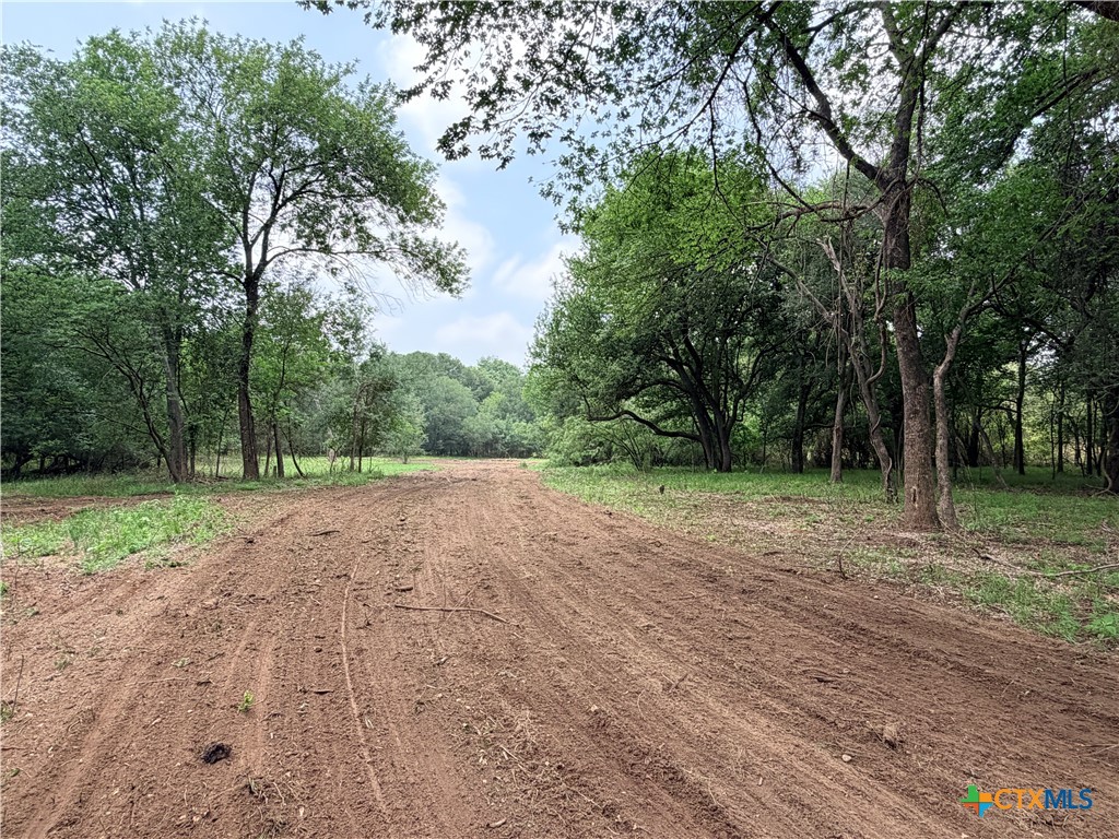 TBD FM 86, Luling, TX 78648 — photo 1