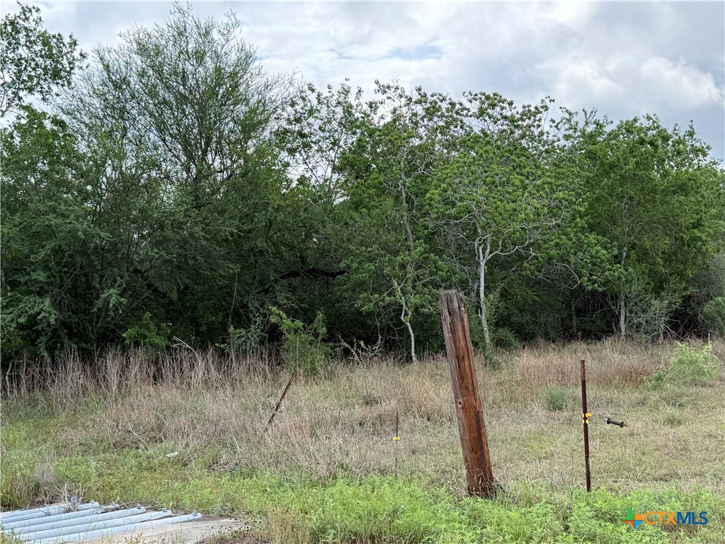 Tract 9 Love Road, Victoria, TX 77904 — photo 1
