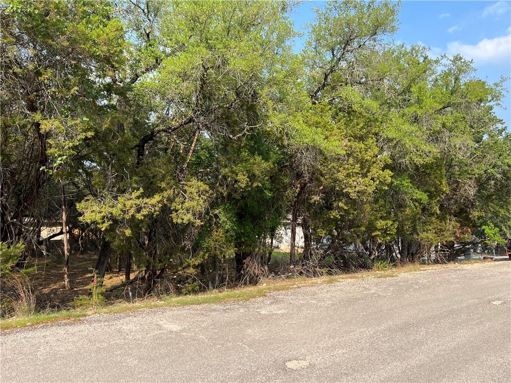 21212 Santa Rosa Ave, Lago Vista, TX 78645 — photo 1
