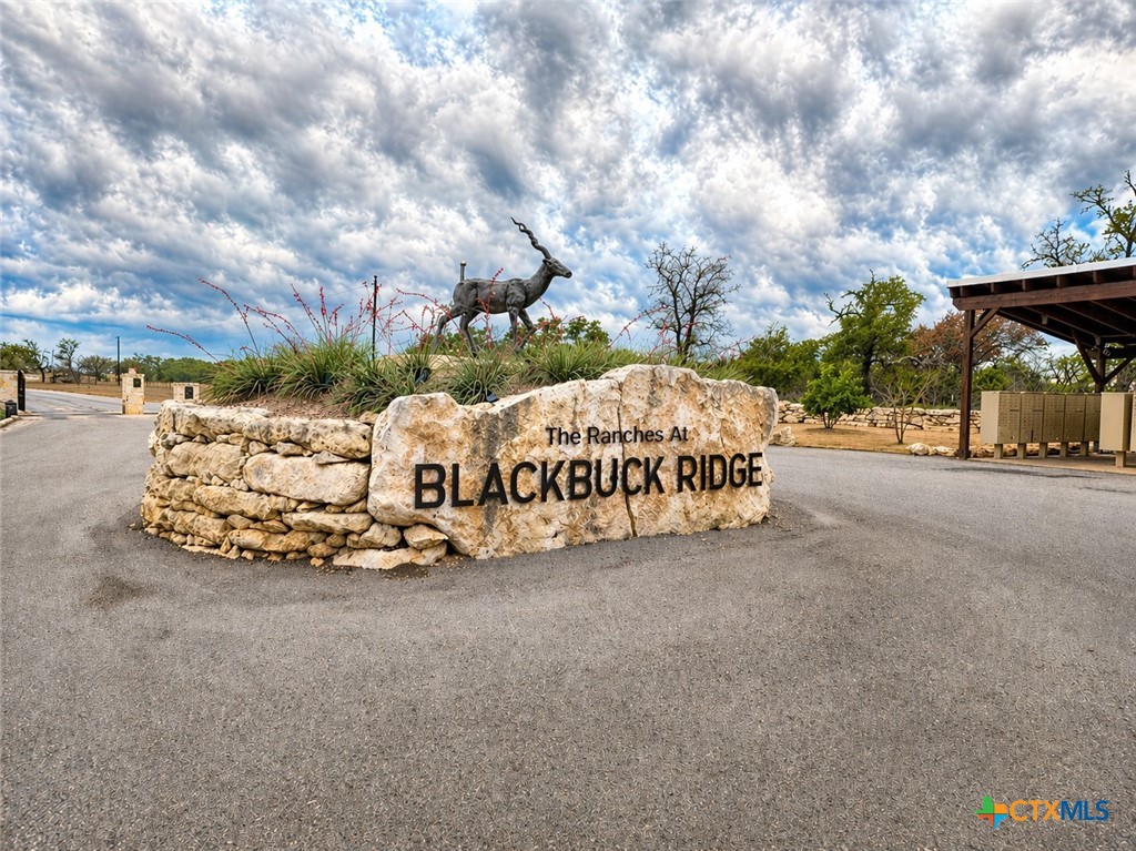 Lot 162 Addax Court, Lampasas, TX 76550 — photo 1