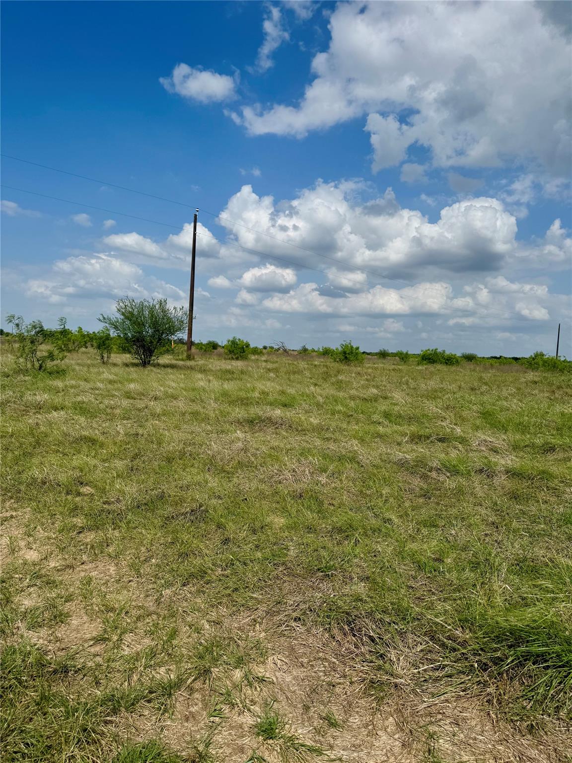 311  CR 473 None, Thrall, TX 76578 — photo 1