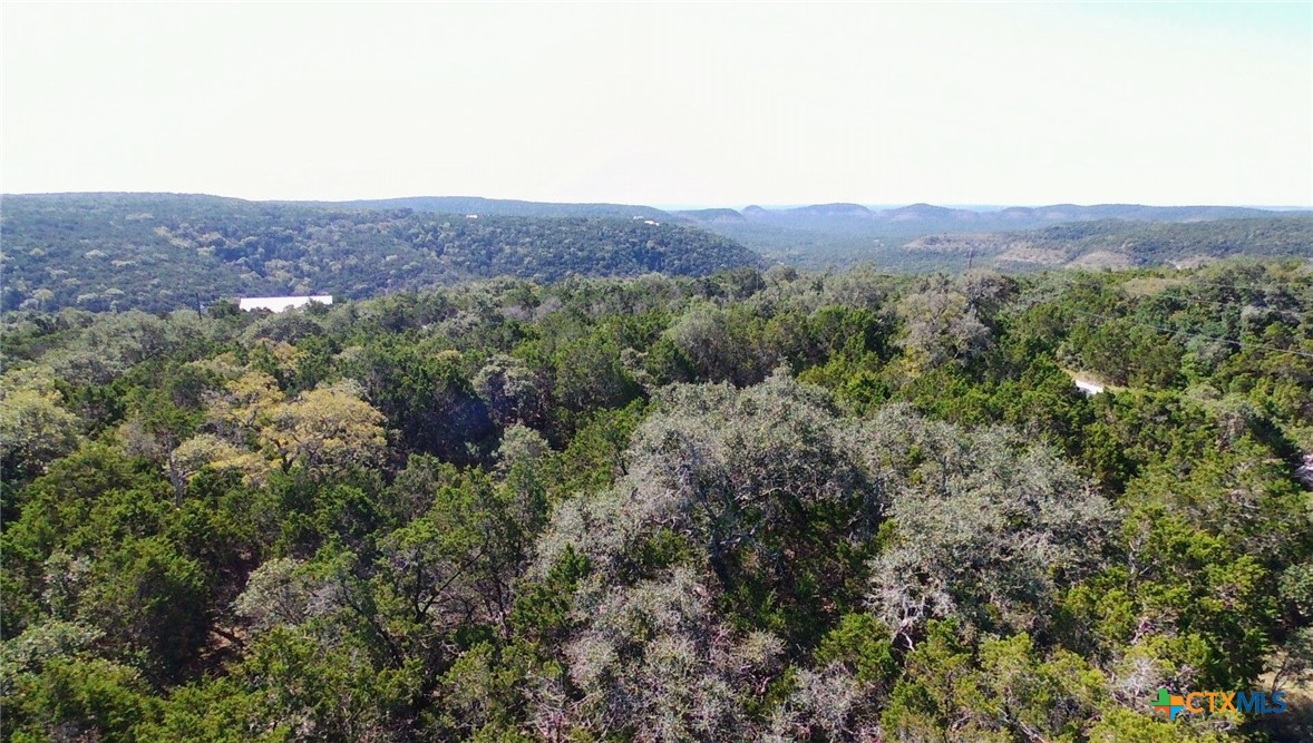 1031 The Low Road, San Marcos, TX 78666 — photo 1