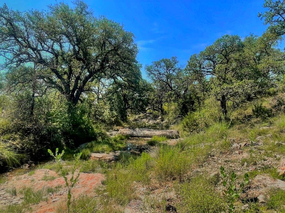 Lot 8 Legacy Ridge None, Burnet, TX 78611 — photo 1