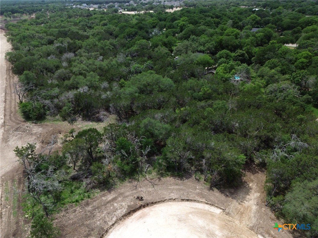 TBD Lot 38 Ironwood Ridge, Salado, TX 76571 — photo 1
