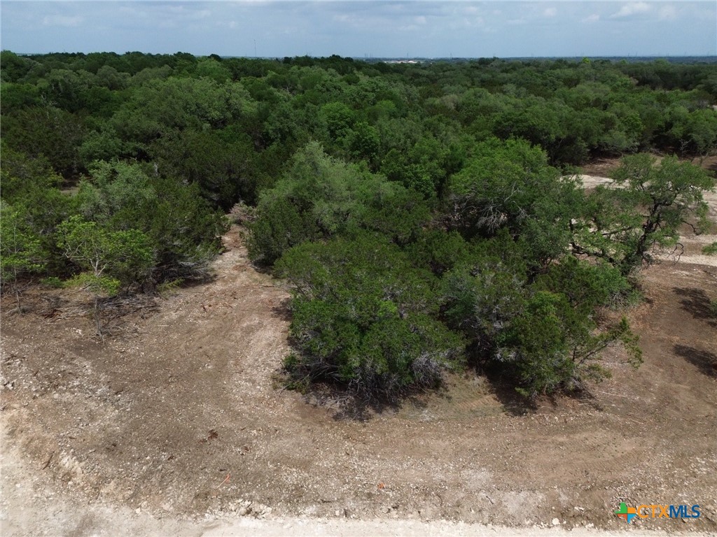 TBD Lot 46 Juniper Ridge, Salado, TX 76571 — photo 1