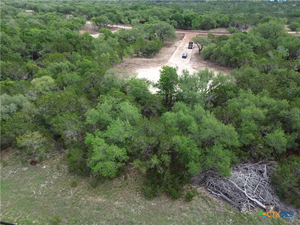 TBD Lot 48 Juniper Ridge, Salado, TX 76571 — photo 1