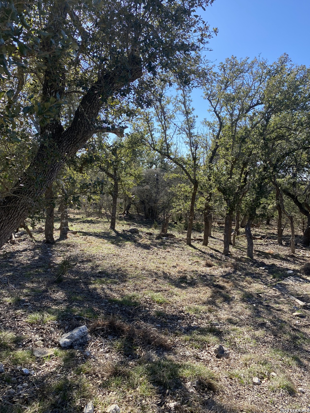 106 Ulmus, Fredericksburg, TX 78624 — photo 1