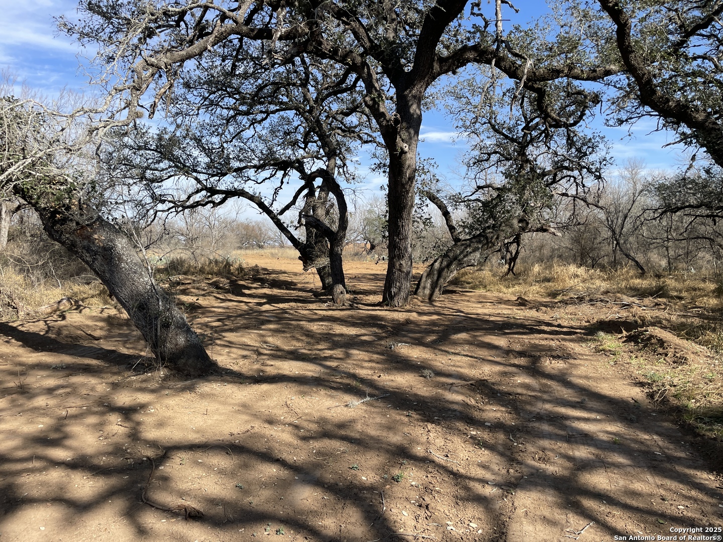 137 CR 2644, Moore, TX 78057 — photo 1