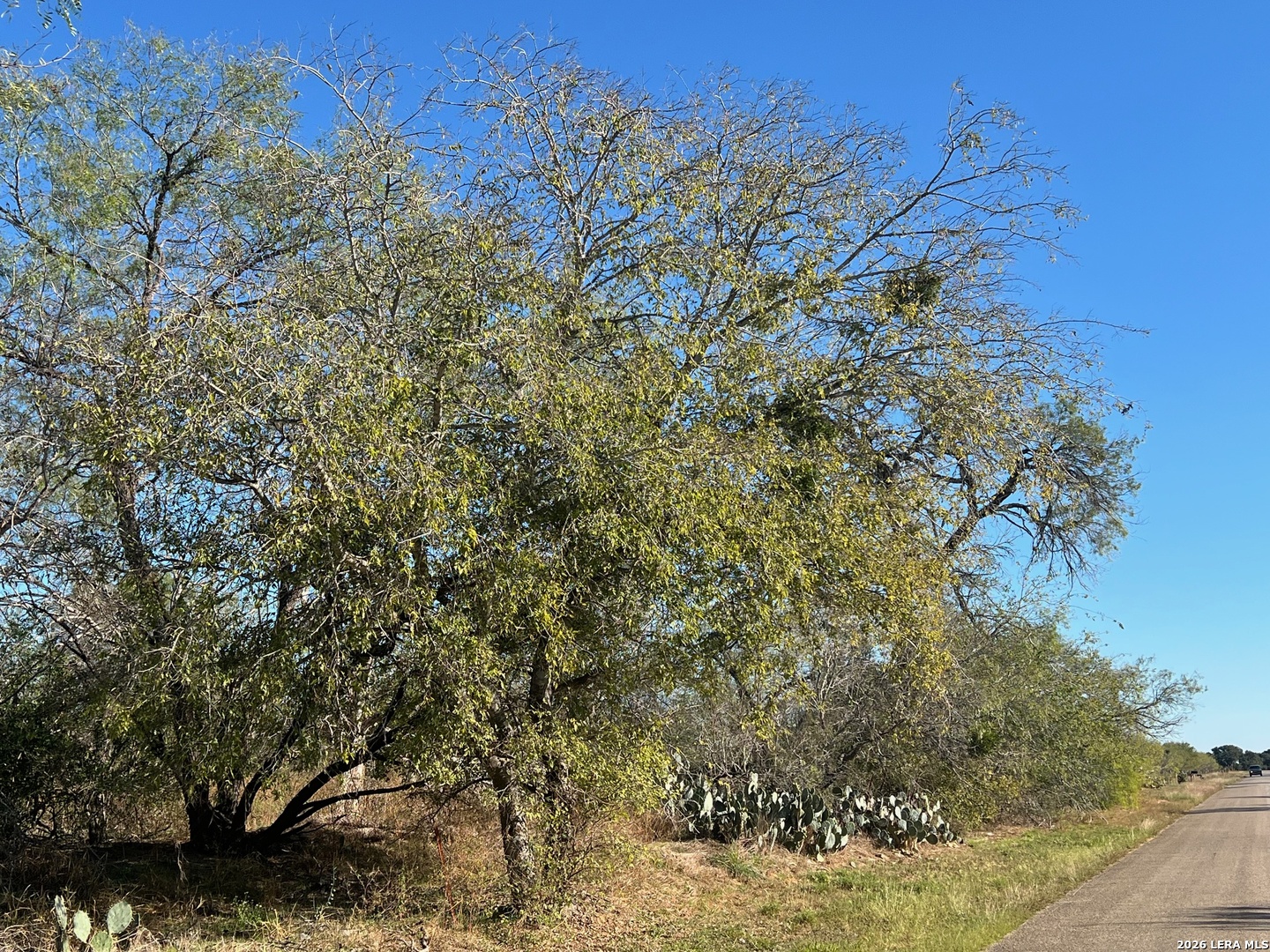 Red Barn Rd, Poteet, TX 78065 — photo 1