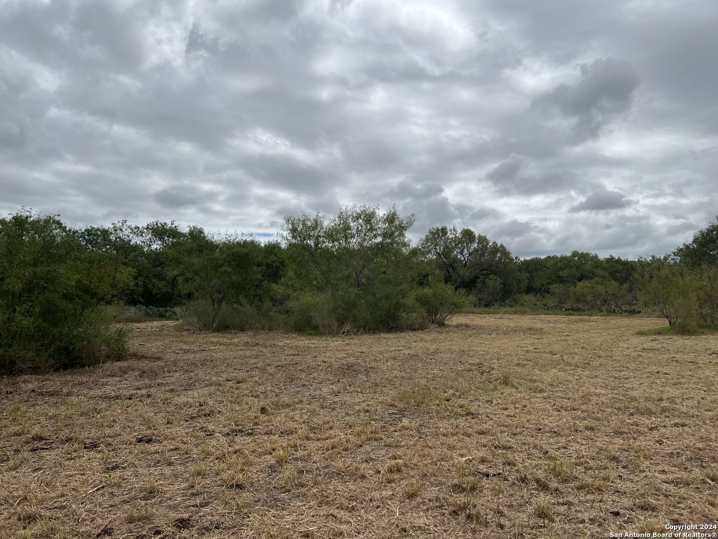 S Hwy 281, Pleasanton, TX 78064 — photo 1