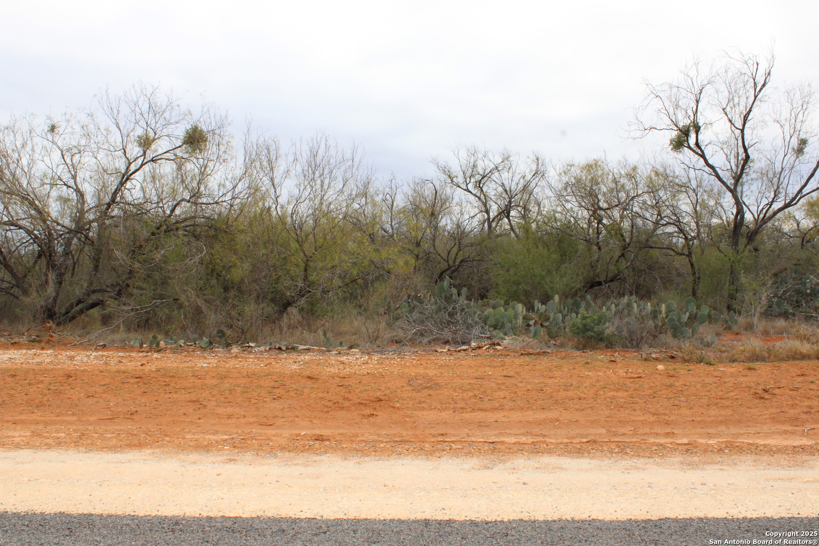 3435 County Road/Main Street, Pearsall, TX 78061 — photo 1