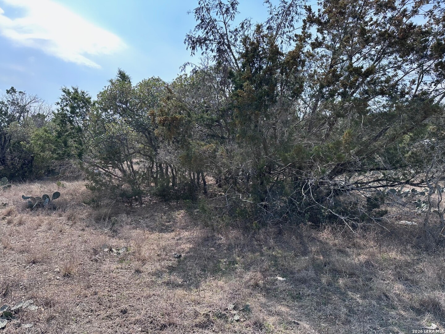 1341 Lakeshore, Bandera, TX 78003 — photo 1