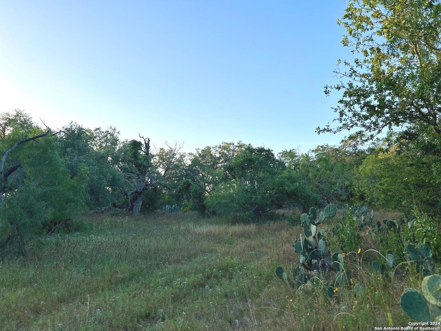 Bruce Rd., Pleasanton, TX 78064 — photo 1