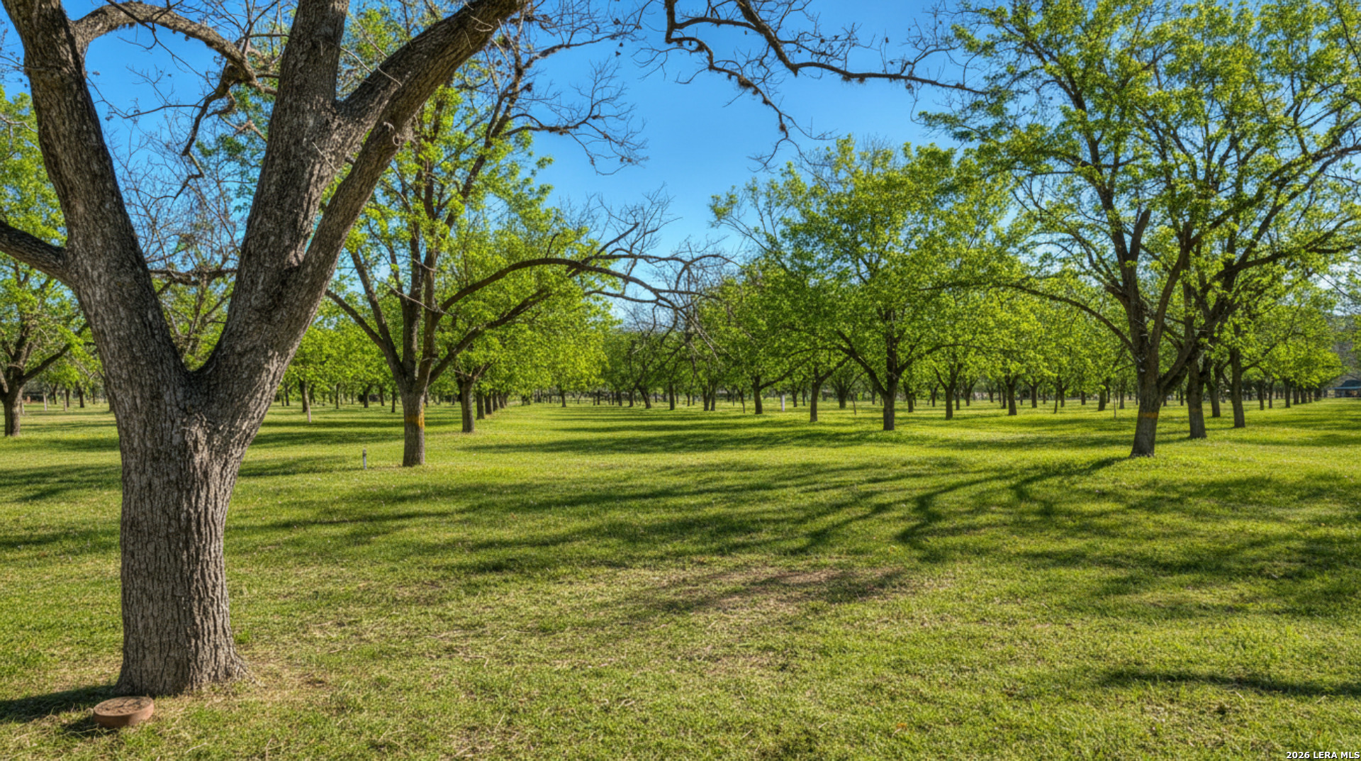 429 Johnny Seibert Ln, Leakey, TX 78873 — photo 1