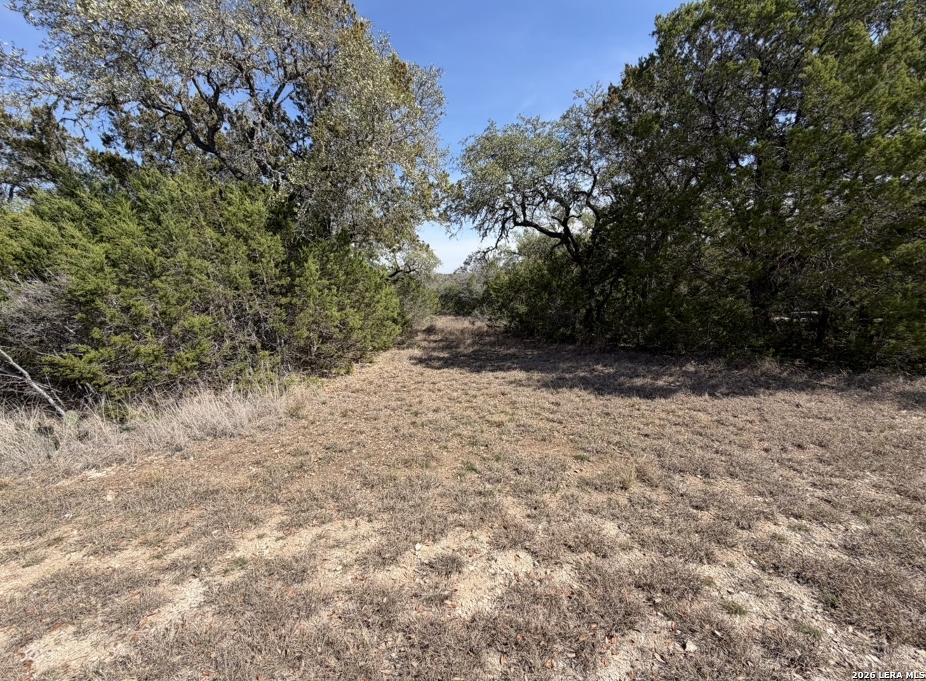 310 Spring, Spring Branch, TX 78070 — photo 1