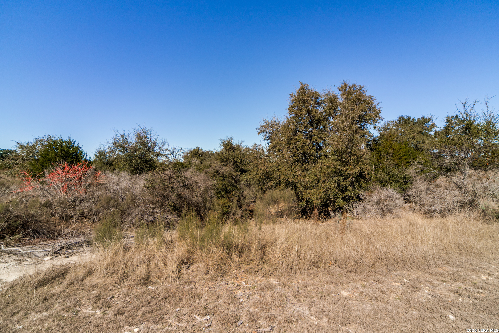LOT 85 Palomino Springs, Bandera, TX 78003 — photo 1