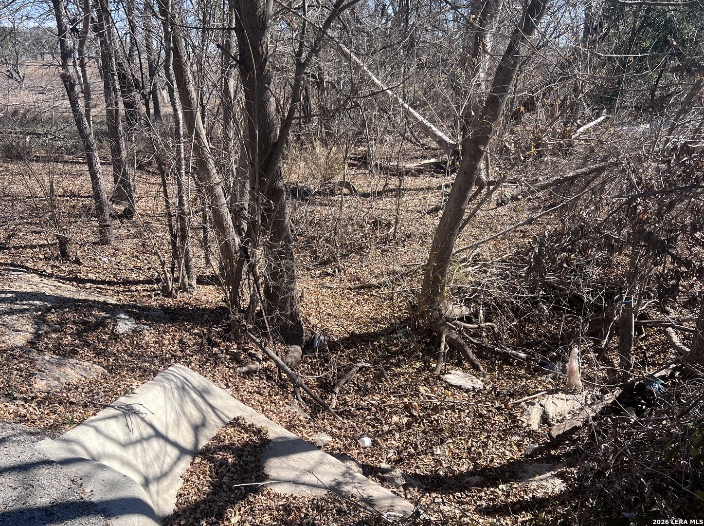 TBD ESS RD, Atascosa, TX 78002 — photo 1