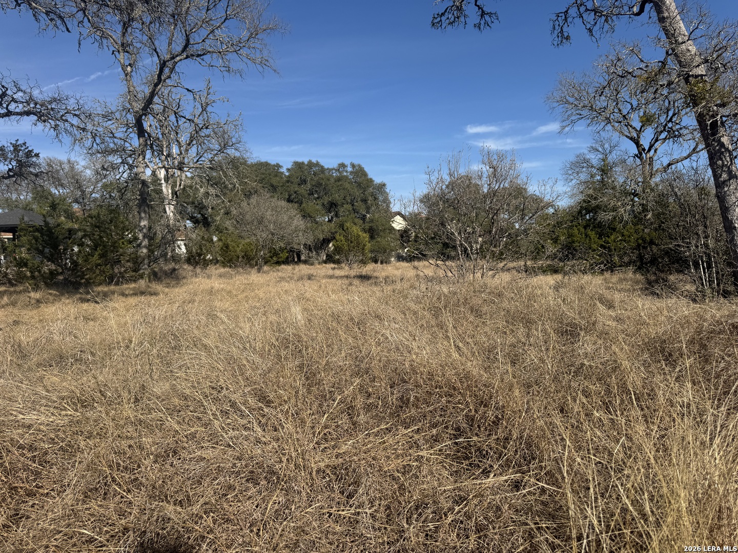 223 George Dolson, Blanco, TX 78606 — photo 1