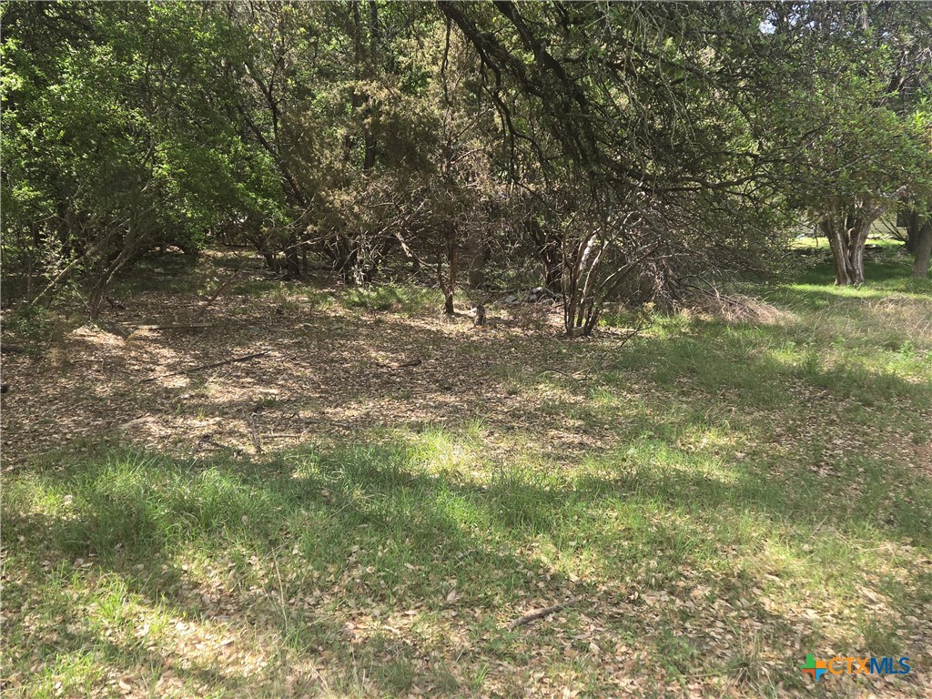 6 Hackberry Court, Belton, TX 76513 — photo 1