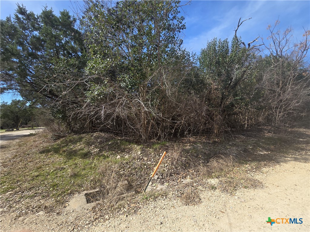 TBD Estate Trail, Belton, TX 76513 — photo 1