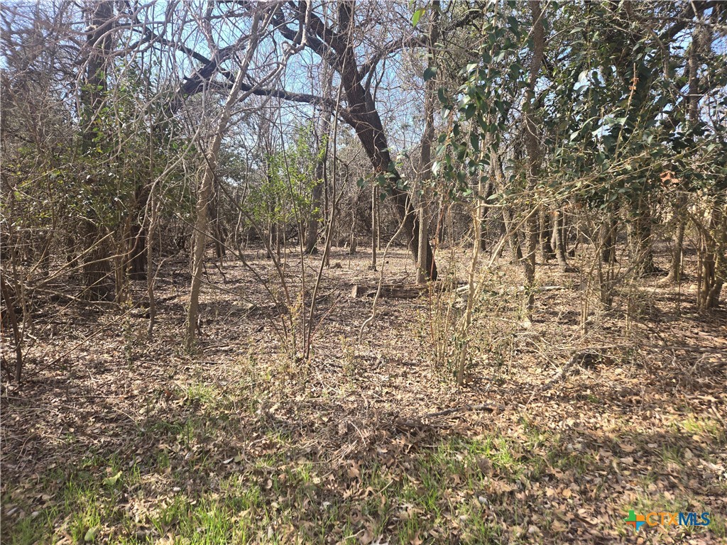 TBD Estate Trail, Belton, TX 76513 — photo 1