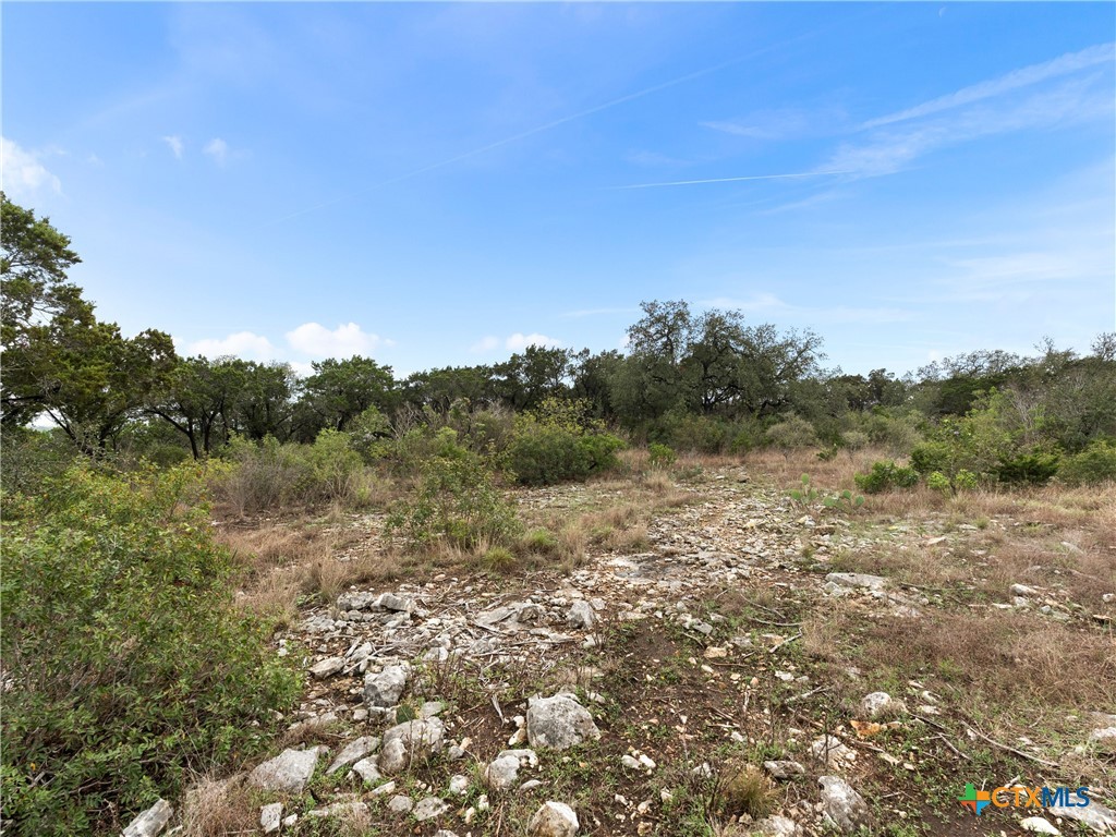 Lot 14 Private Road 2777, Mico, TX 78056 — photo 1