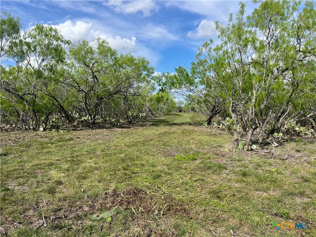 0 Cr 180, Smiley, TX 78159 — photo 1