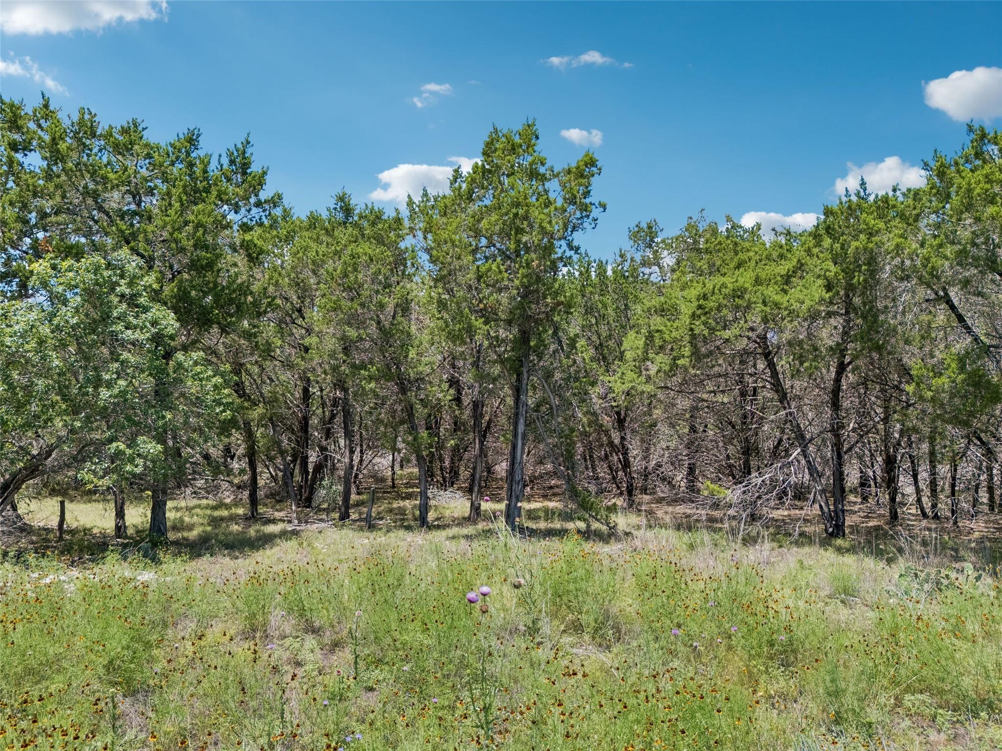 TBD S Rainbow Ranch Rd, Wimberley, TX 78676 — photo 1