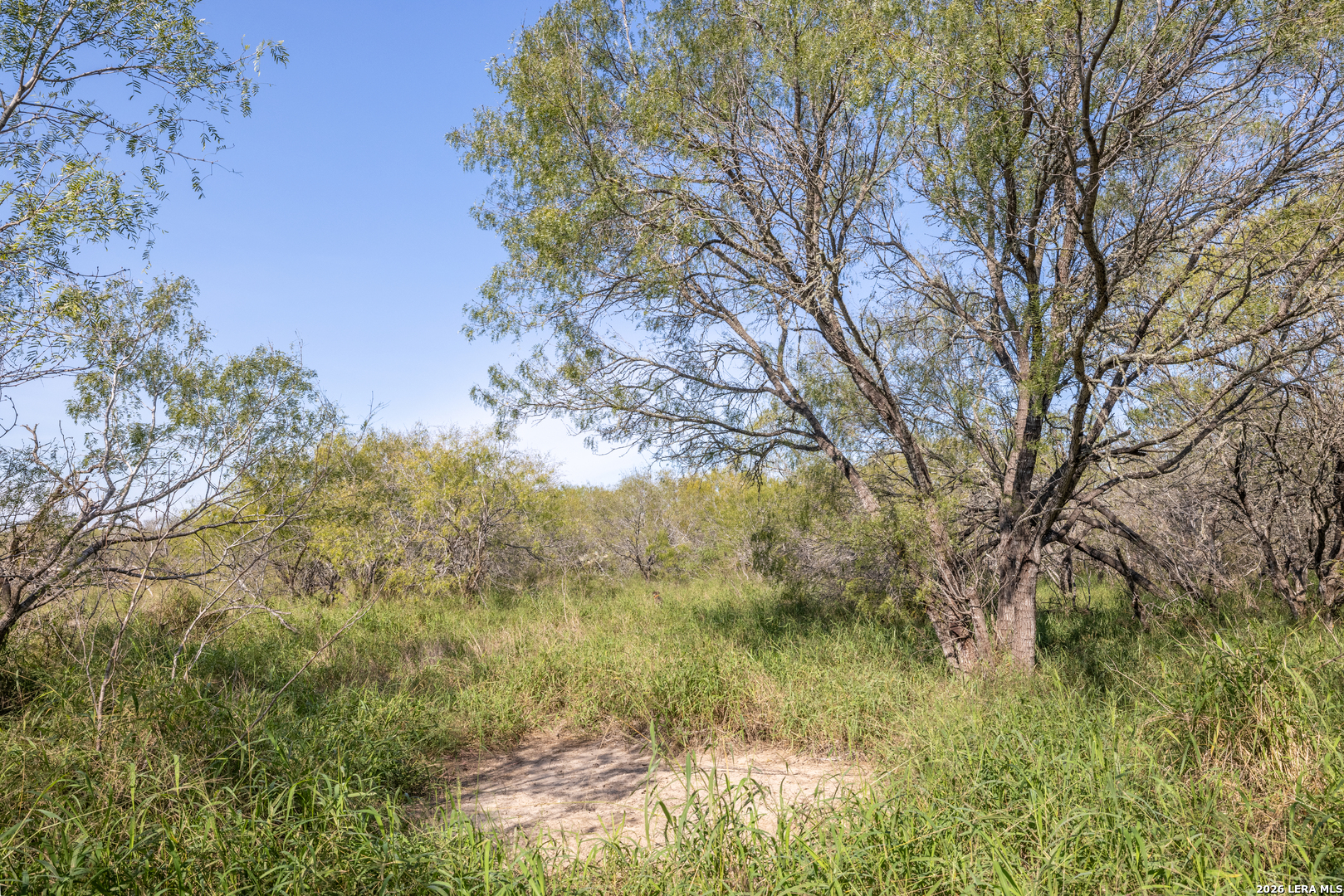 FM 666 At County Road 1168, Mathis, TX 78368 — photo 1