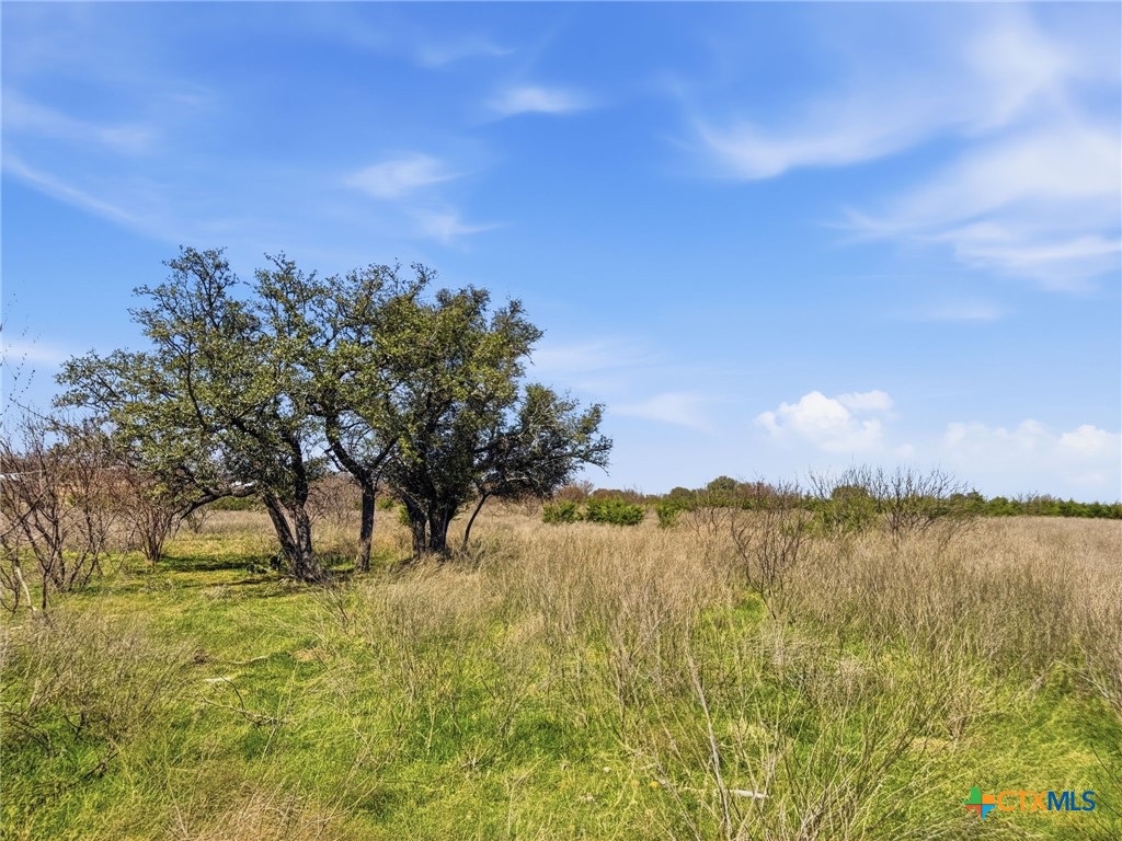 Lot 17 Ph 1 Pr 4218, Evant, TX 76525 — photo 1