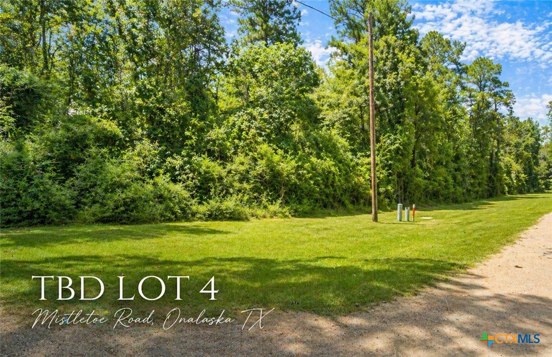 TBD MISTLETOE Street, Onalaska, TX 77360 — photo 1
