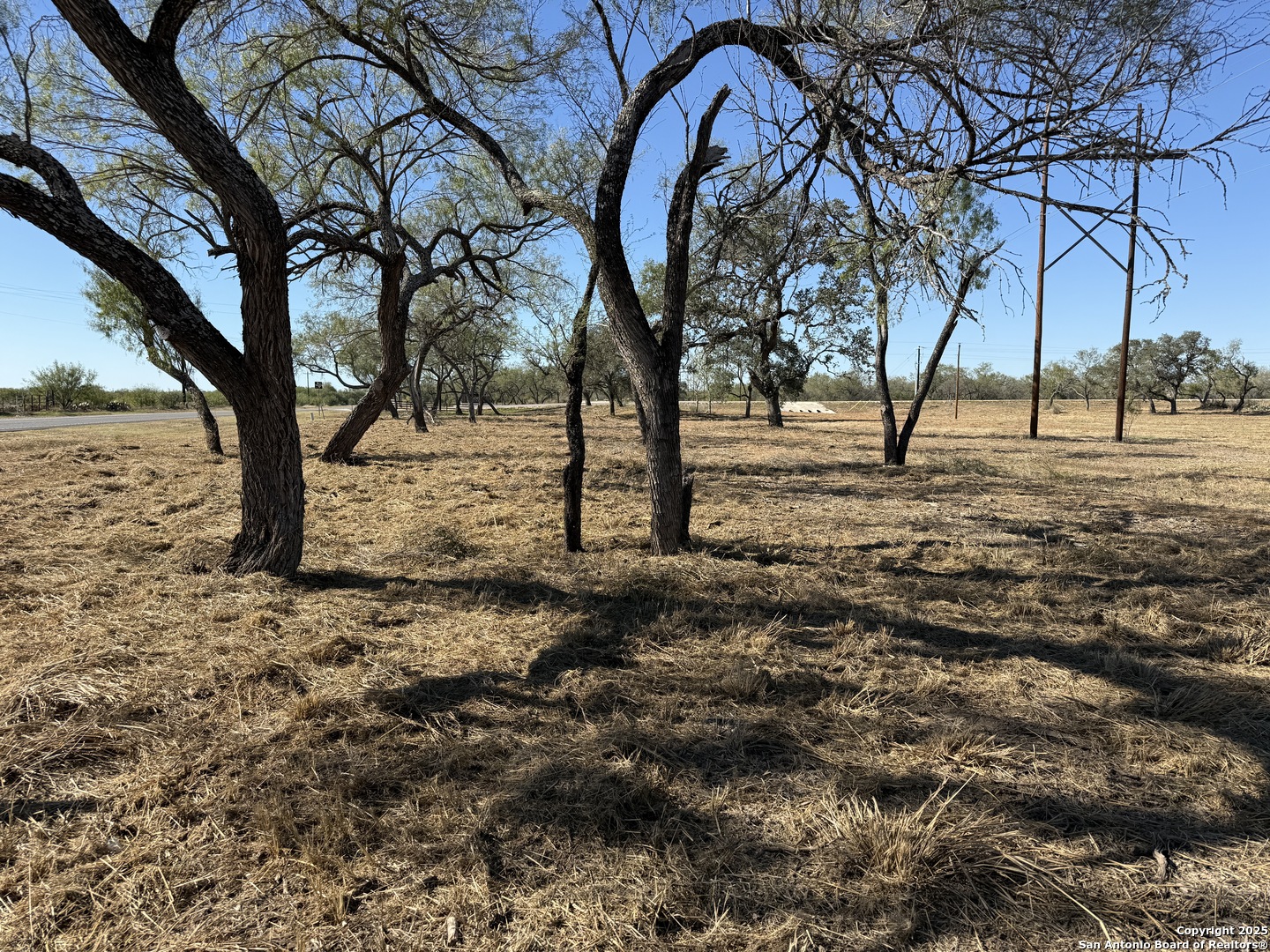 125 Cr 2644, Moore, TX 78057 — photo 1